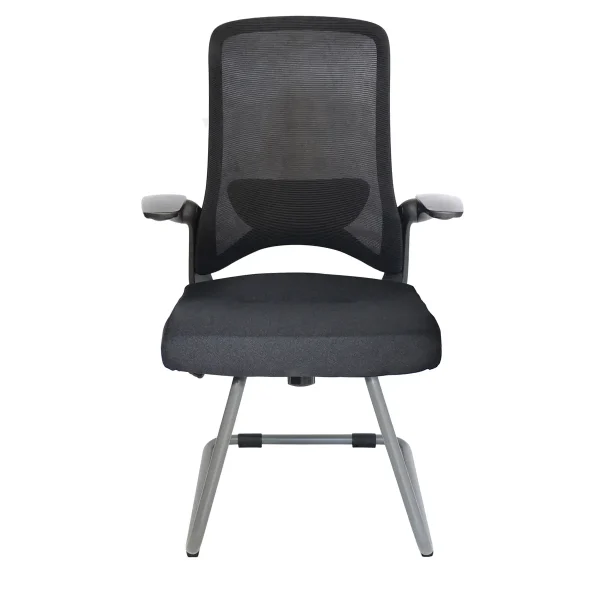 Silla Visitante Dolphin