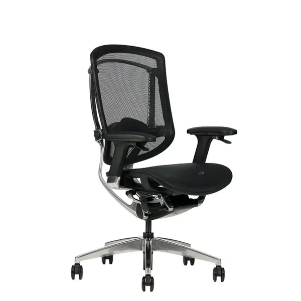 Silla Ejecutiva Advance Respaldo Bajo
