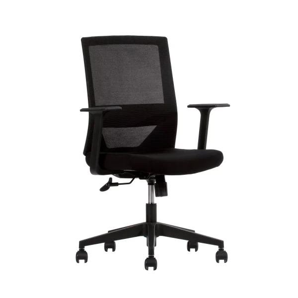 Silla Ejecutiva Vision Respaldo Bajo