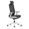 Silla Ejecutiva Polar Respaldo Alto