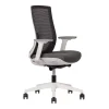 Silla Ejecutiva Polar Respaldo Bajo