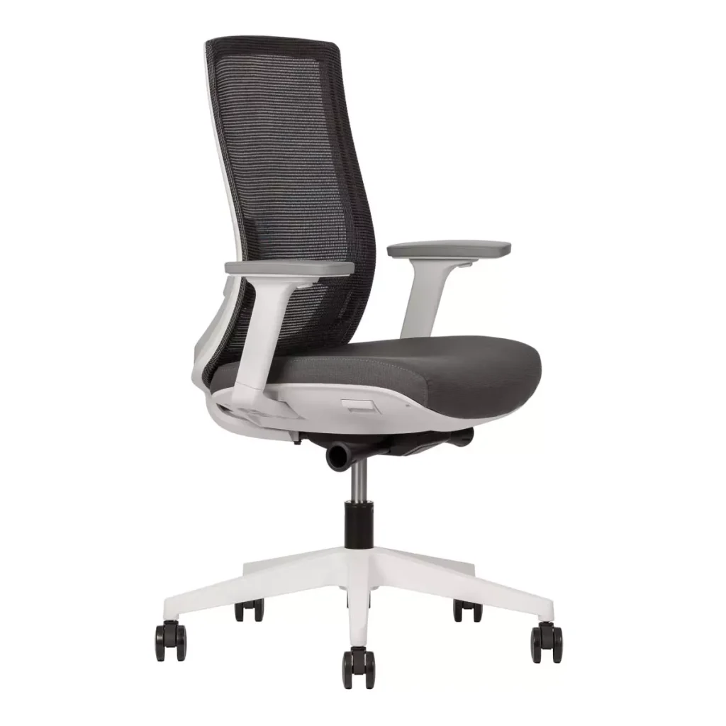 Silla Ejecutiva Polar Respaldo Bajo