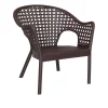 Silla de Uso Rudo Iris Lounge