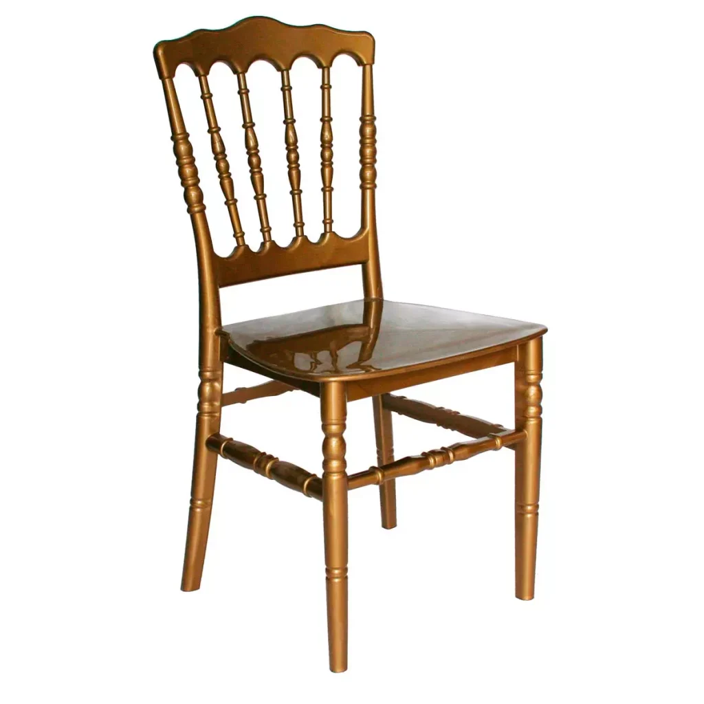 Silla de Uso Rudo Versalles